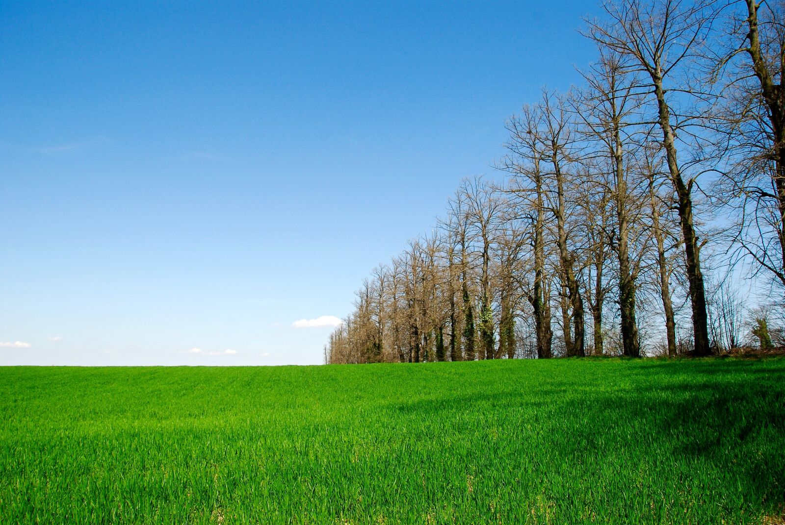 Nikon D80 sample photo. Landscape, campaign, sky photography
