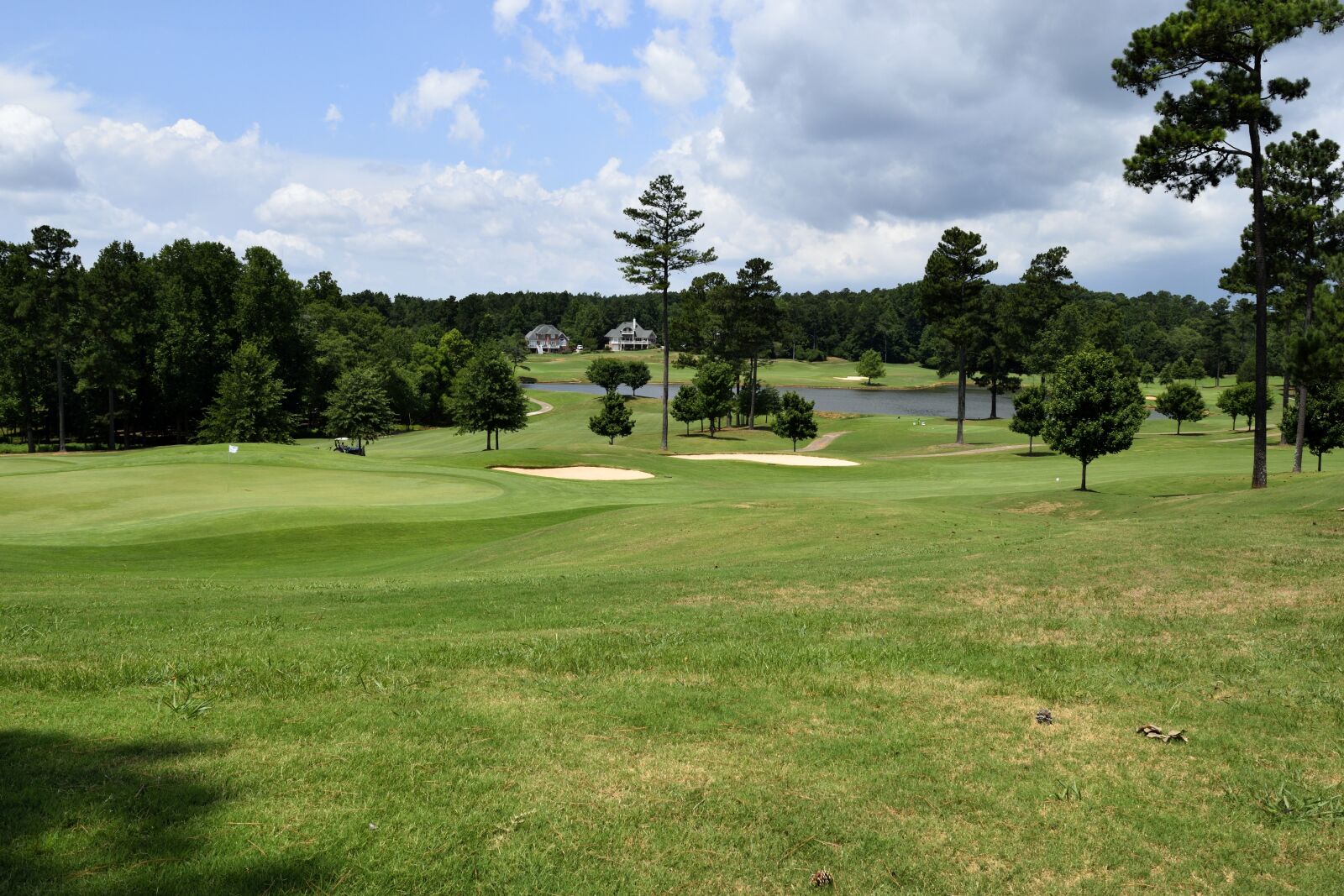 Nikon D3300 sample photo. Golf, grass, course photography