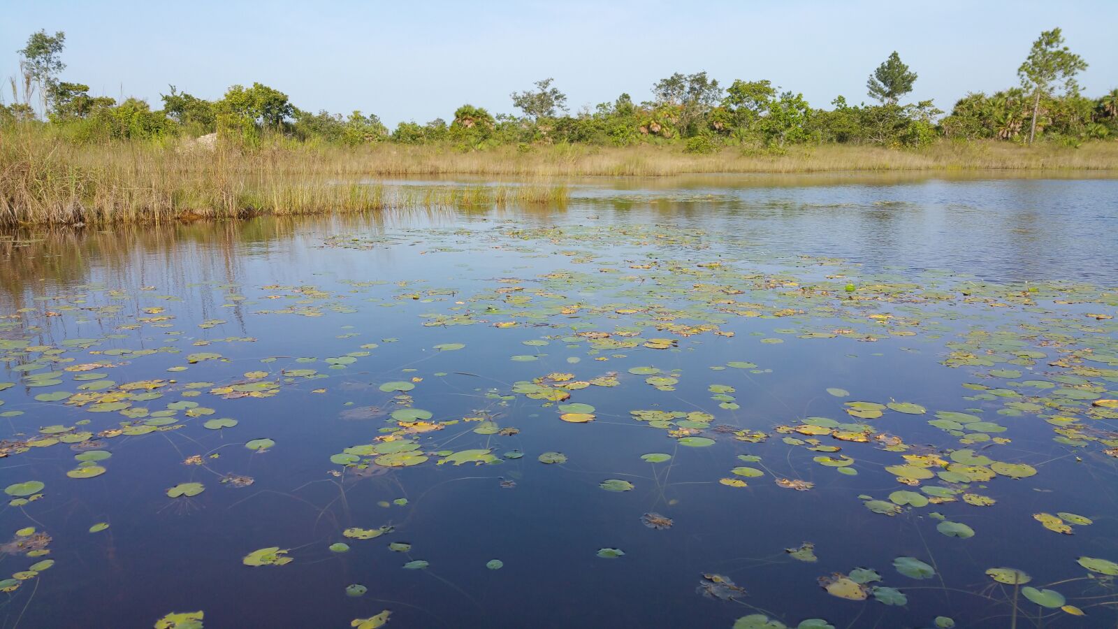 Samsung Galaxy Note4 sample photo. Pond, lake, belize photography