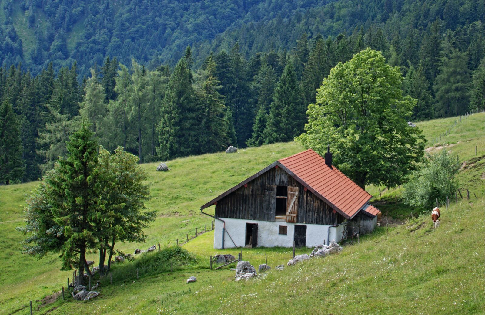 Nikon D7100 sample photo. Landscape, nature, bavaria photography