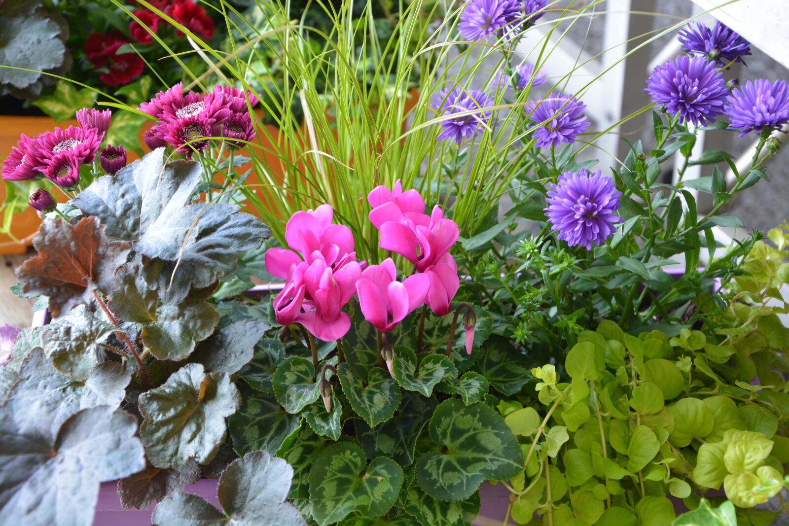 Nikon D5200 sample photo. Flowers, floral composition, offer photography