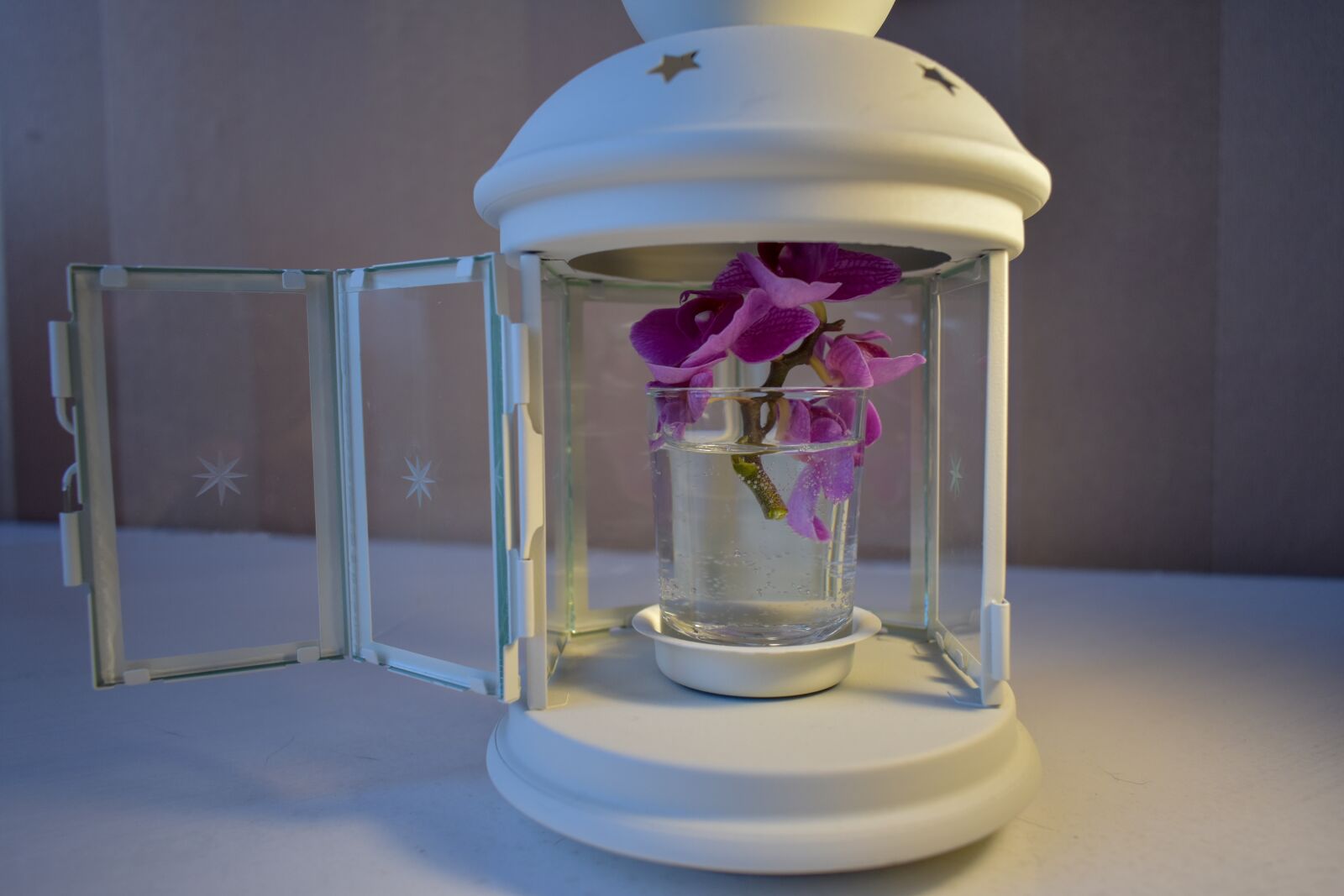 Nikon D3400 sample photo. Flower, candlestick photography