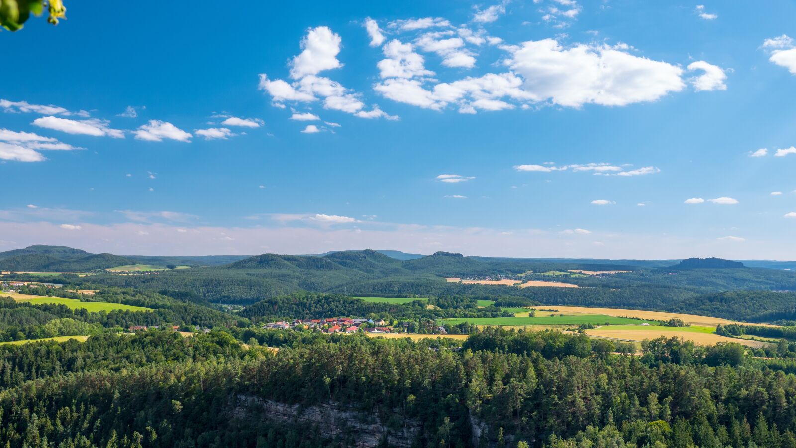 Sony Cyber-shot DSC-RX10 IV sample photo. Saxon switzerland, forest, blue photography
