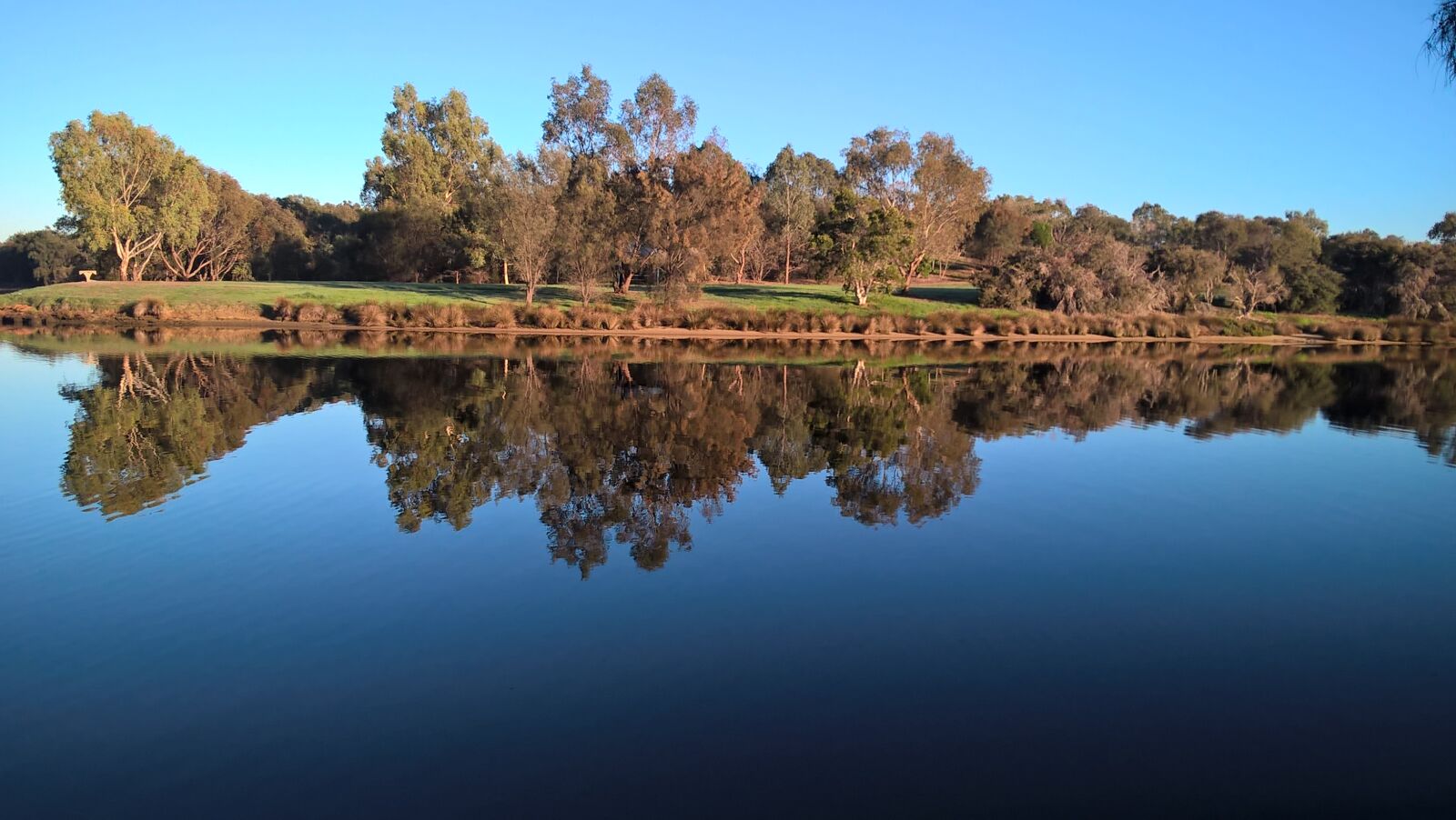 Microsoft Lumia 640 LTE sample photo. Island, reflection, river, trees photography