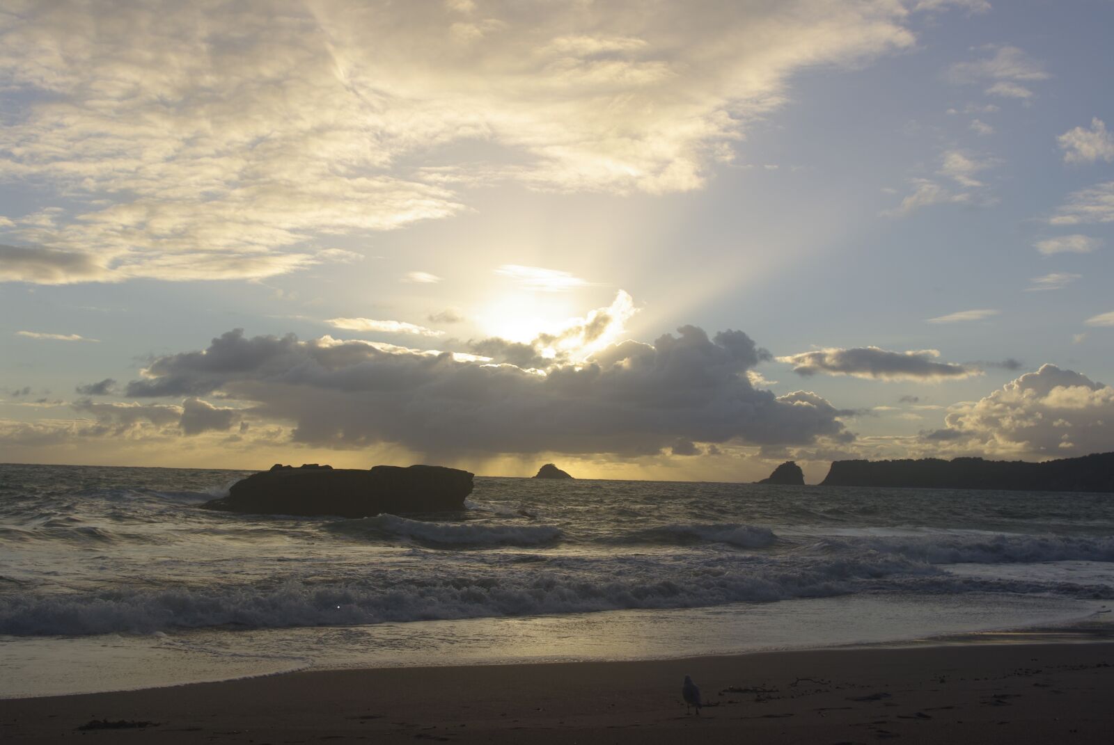 Pentax K20D sample photo. New zealand, beach, sea photography