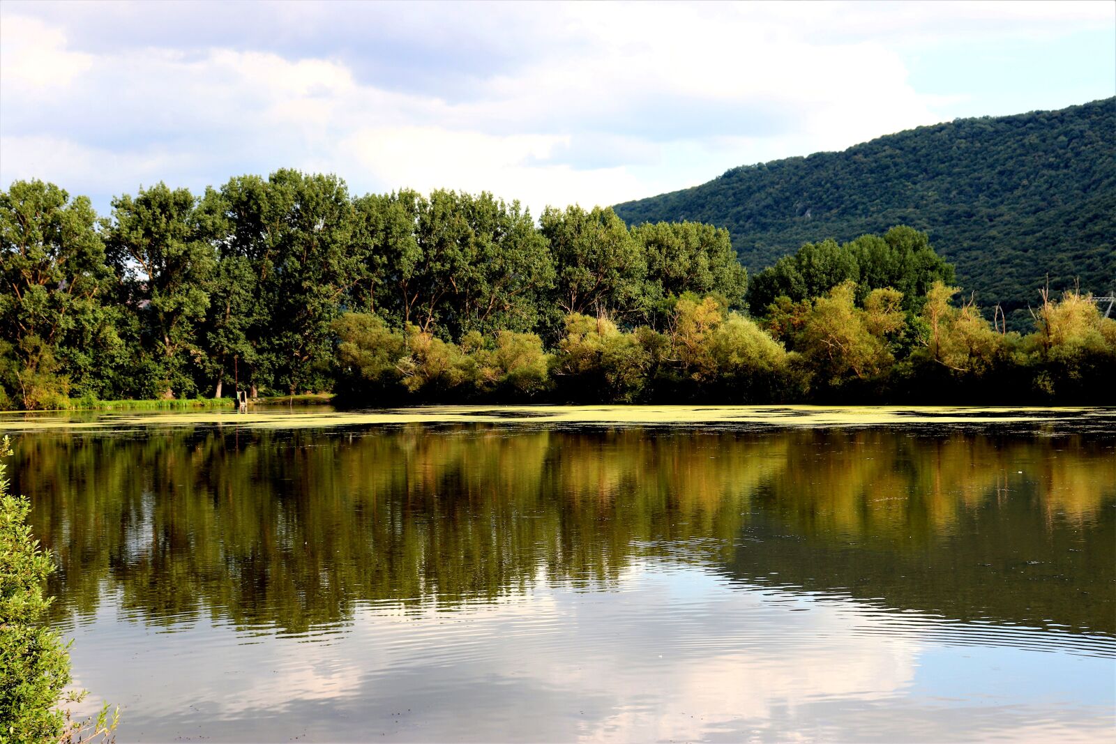 Canon EF-S 18-55mm F4-5.6 IS STM sample photo. Lake, water, trees photography