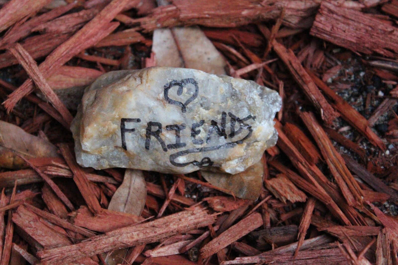 Canon EOS 650D (EOS Rebel T4i / EOS Kiss X6i) sample photo. Rock, friends, quotes photography