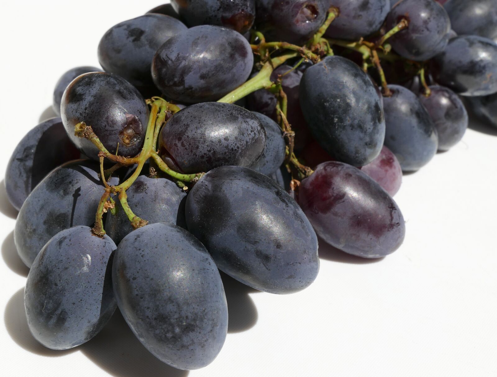 Panasonic Lumix DMC-FZ1000 sample photo. Grapes, wine berries, panicle photography