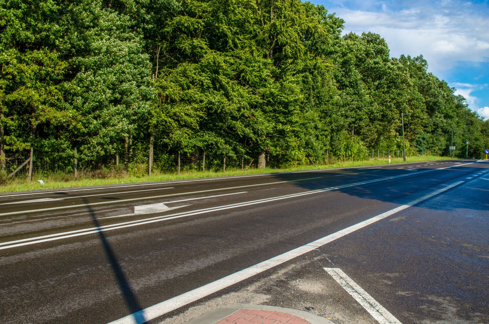 Nikon D5100 sample photo. Road, track, motorway photography