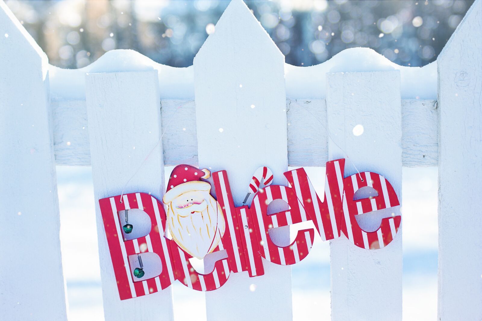 Canon EF 50mm F1.4 USM sample photo. Believe, christmas, snow photography