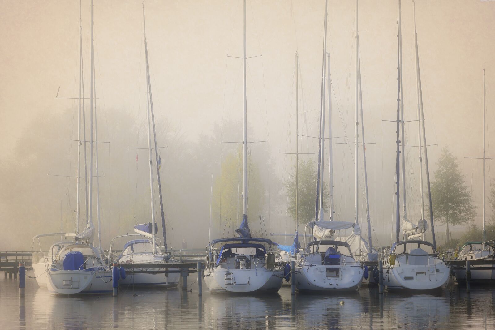 Panasonic Lumix DMC-GX8 sample photo. Fog, landscape, nature photography