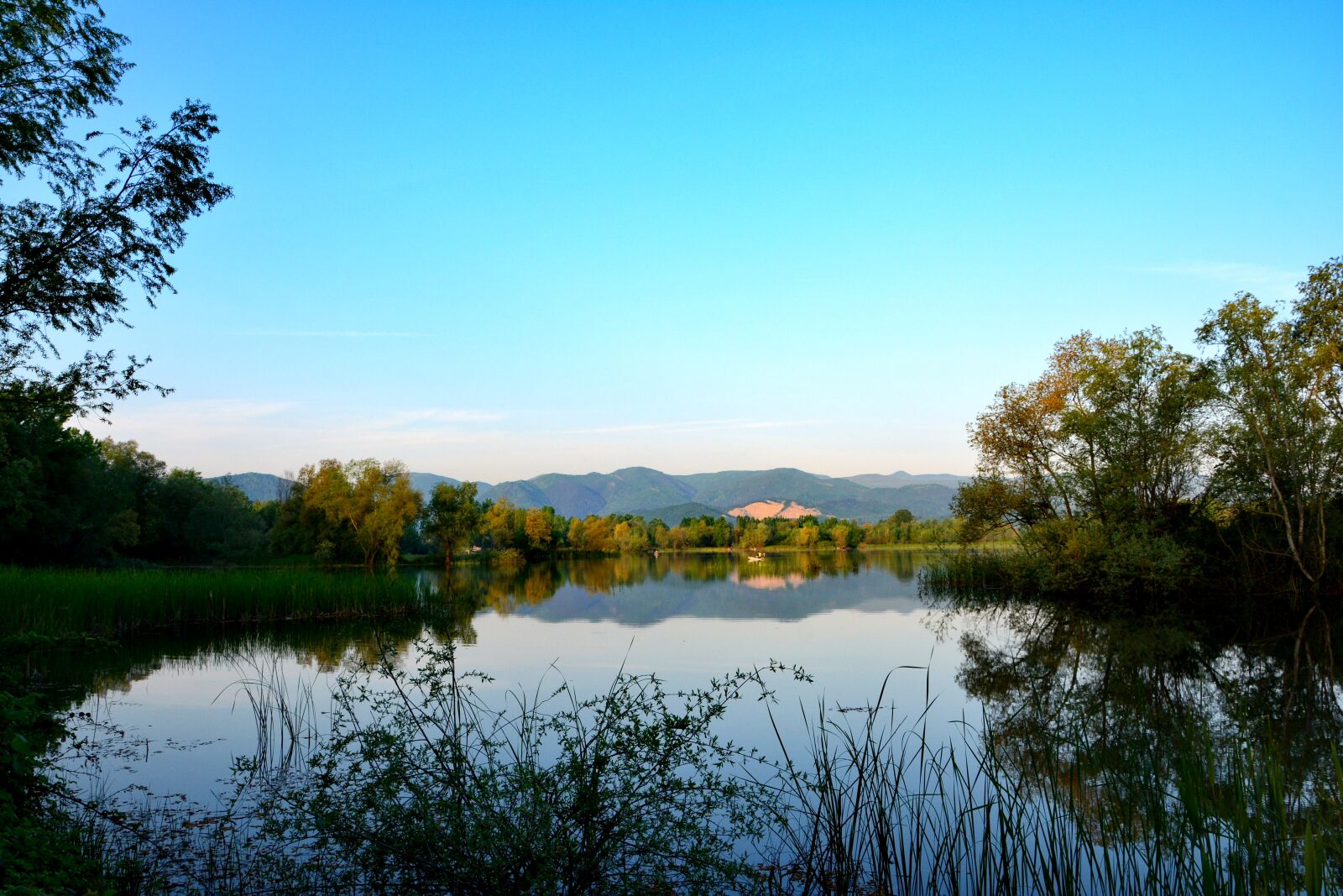 Nikon D7100 sample photo. Nature, sakarya, ponds photography