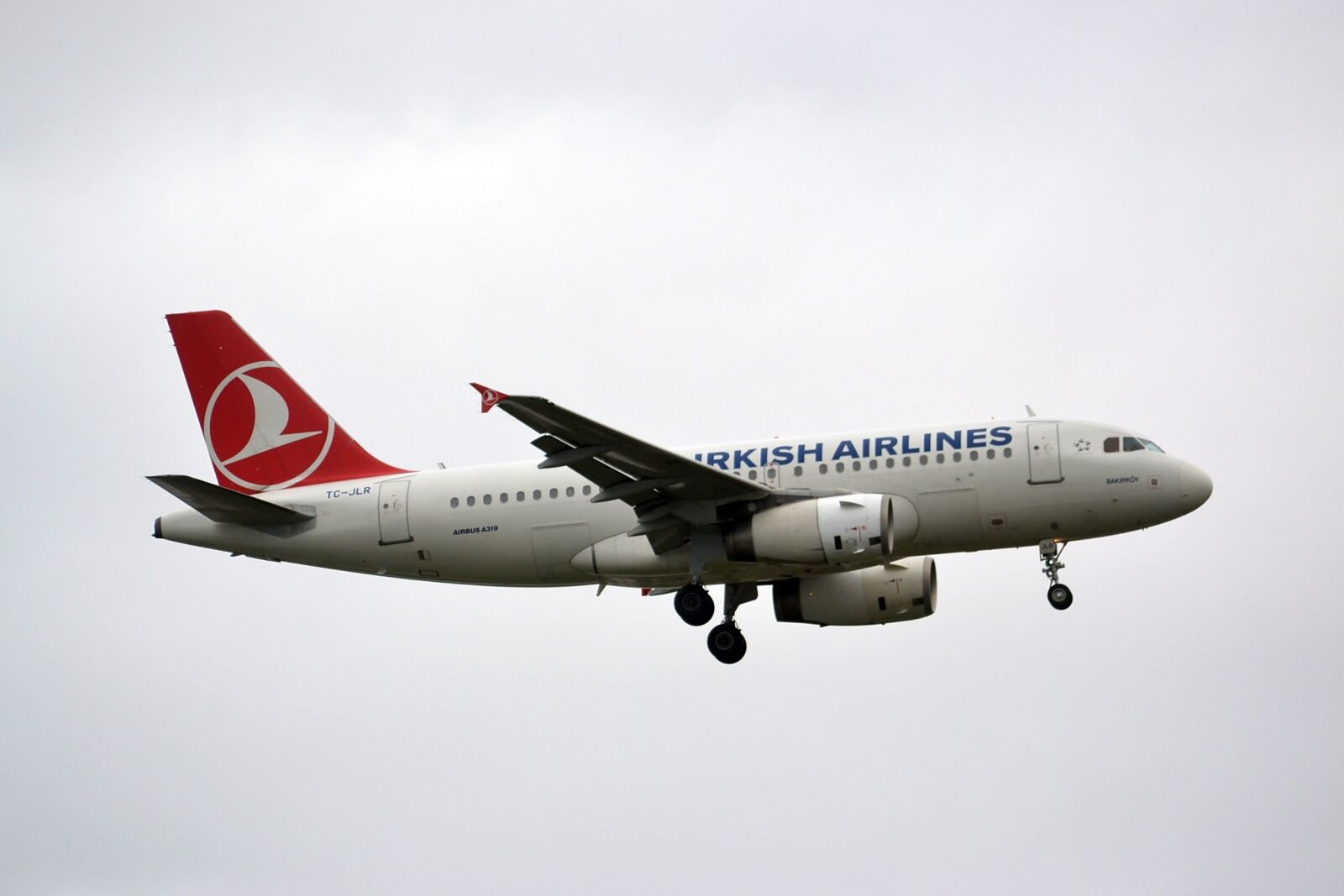 Nikon D3100 sample photo. Thy, a319, aviation photography