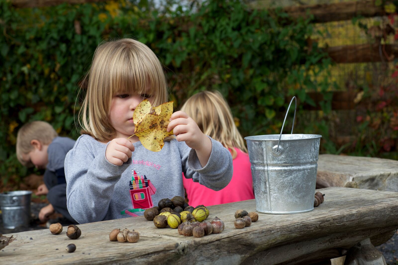 Canon EOS 5D Mark III sample photo. Girl, gathering, leaves, nuts photography