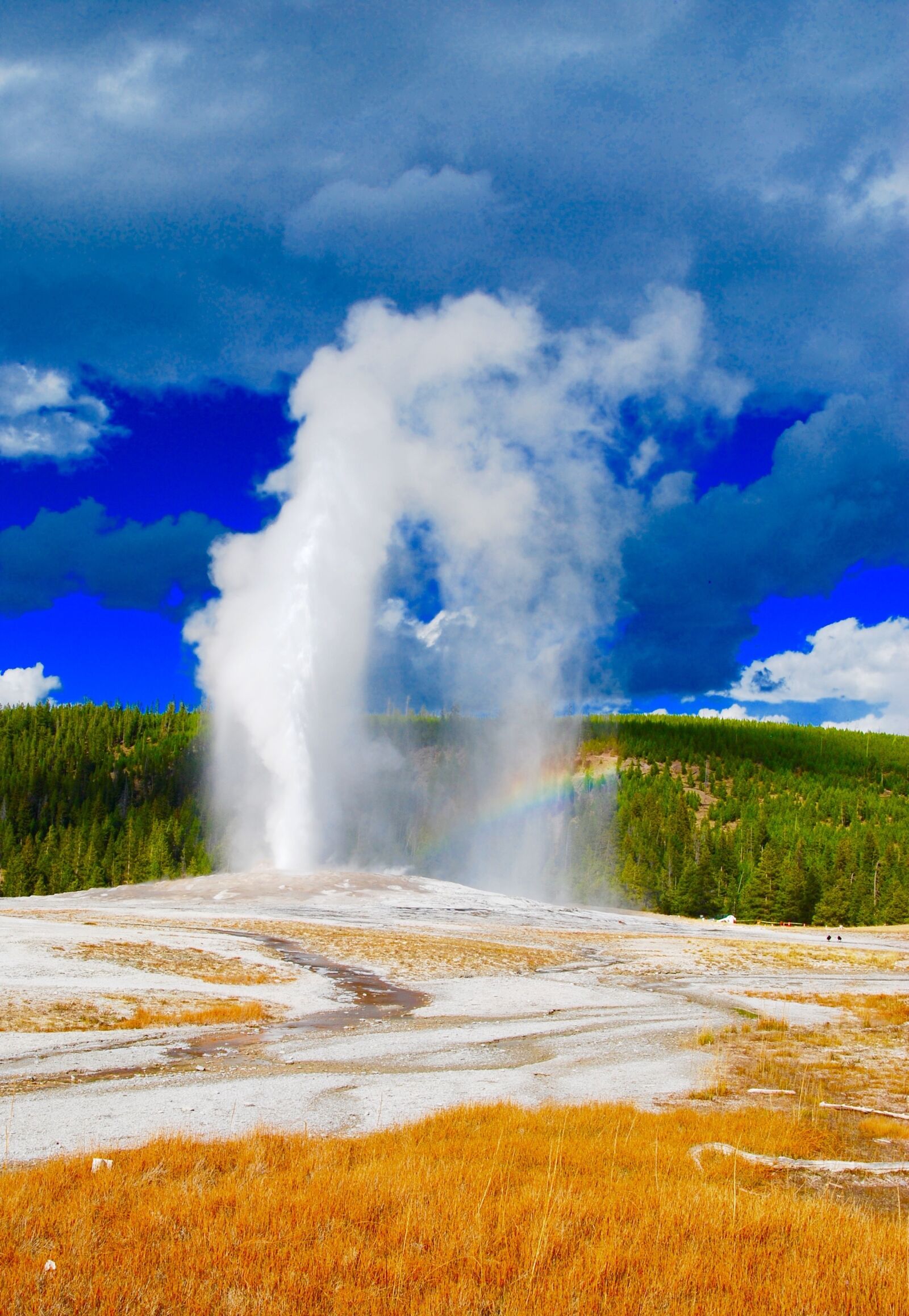 Nikon D60 sample photo. Geysir, old faithful, aspen photography