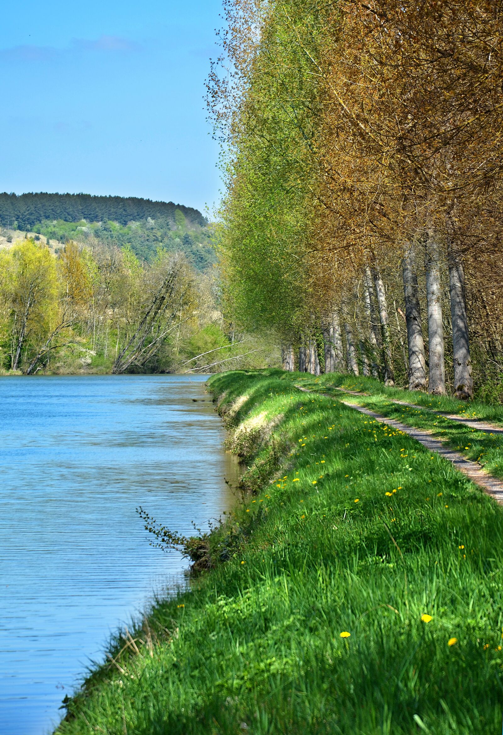 Nikon D5100 sample photo. River, meuse, france photography