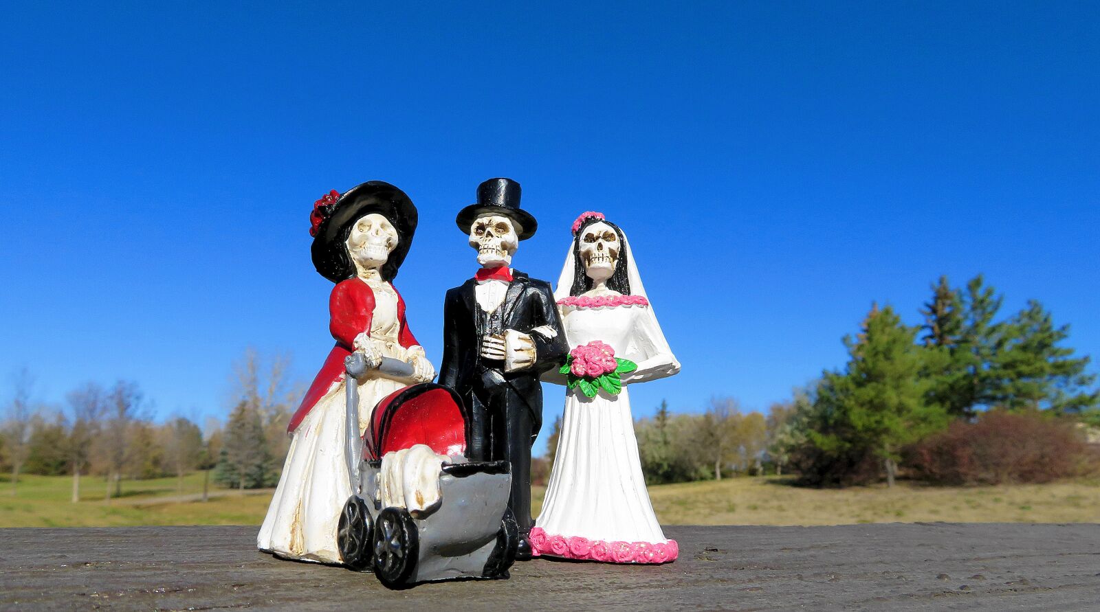 Canon PowerShot SX720 HS sample photo. Halloween, skeleton, wedding photography