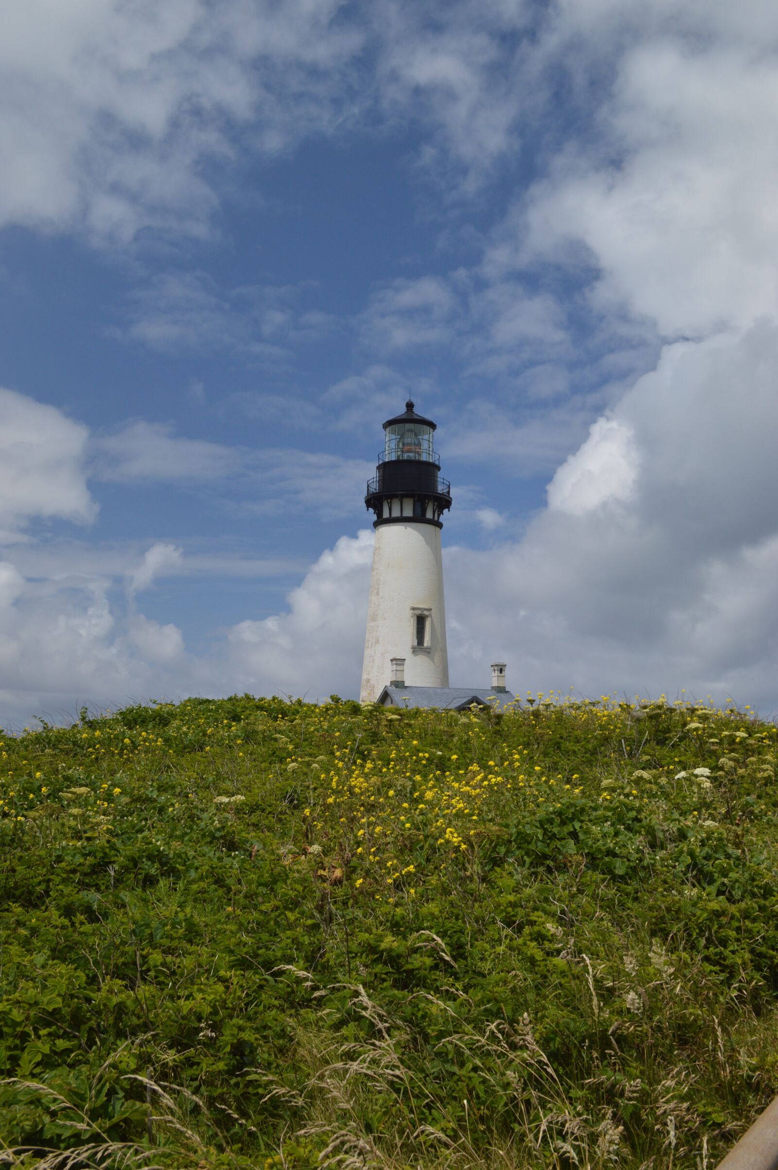 Nikon D3200 sample photo. Lighthouse, wildflowers, clouds photography