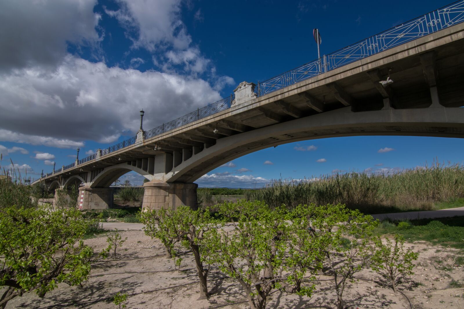 Nikon D5300 sample photo. Bridge, travel, sky photography