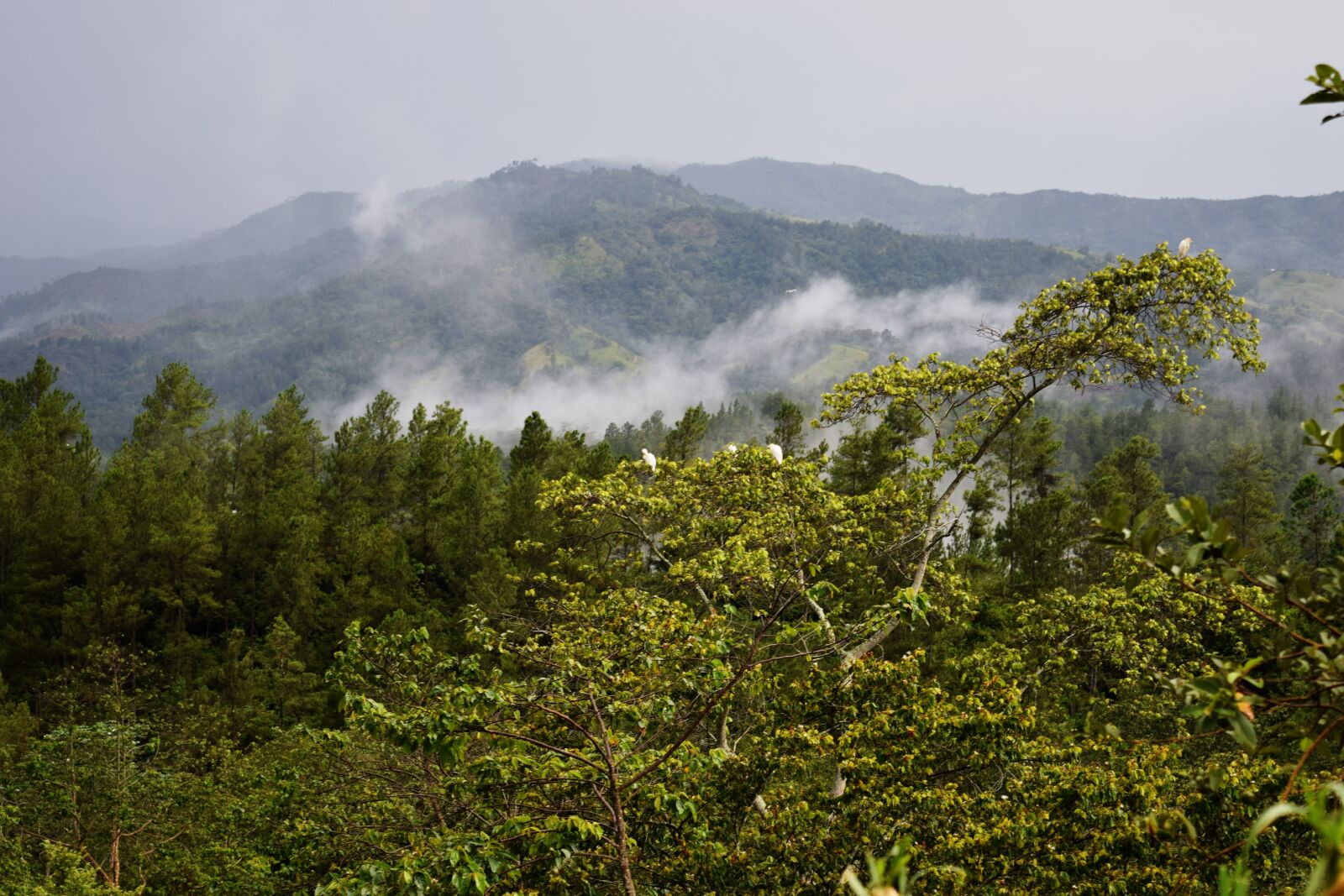 Nikon D5300 sample photo. Mountain, fog, landscape photography