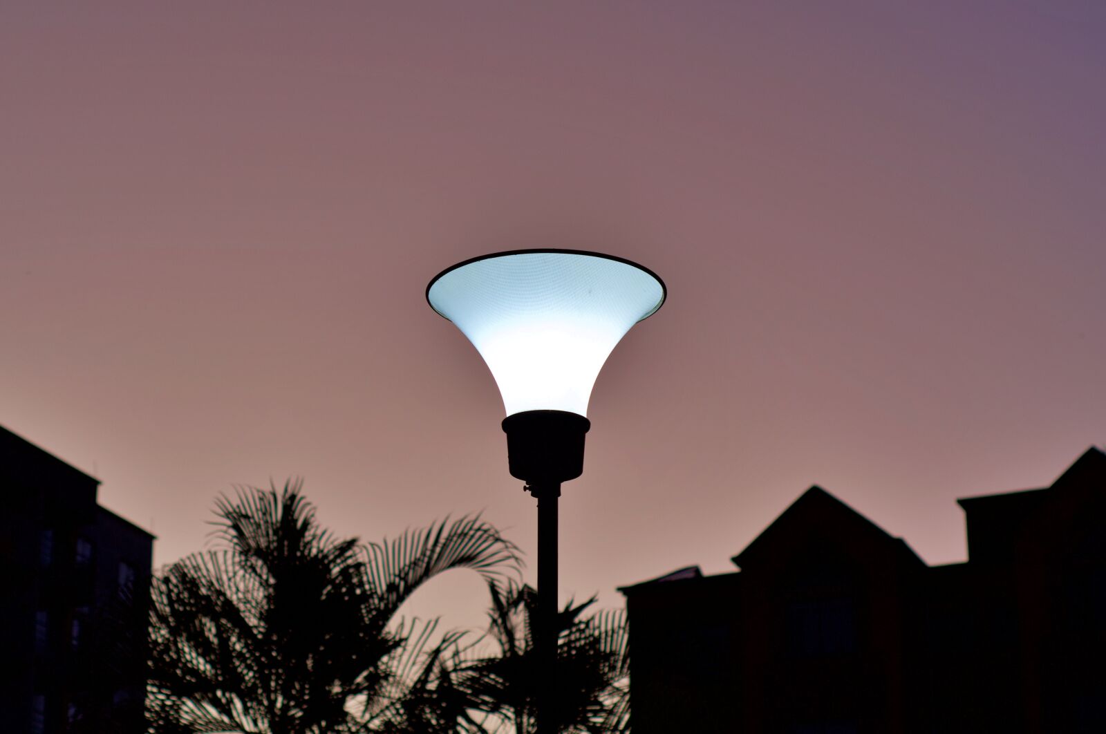Nikon D7500 sample photo. Night, lamp, city photography