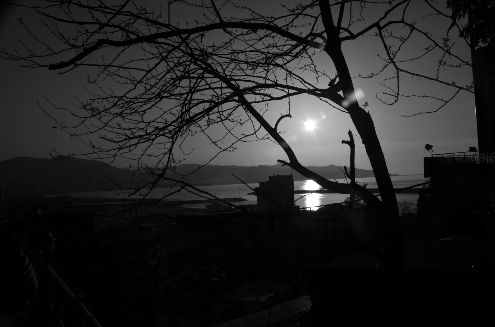Nikon D5100 sample photo
