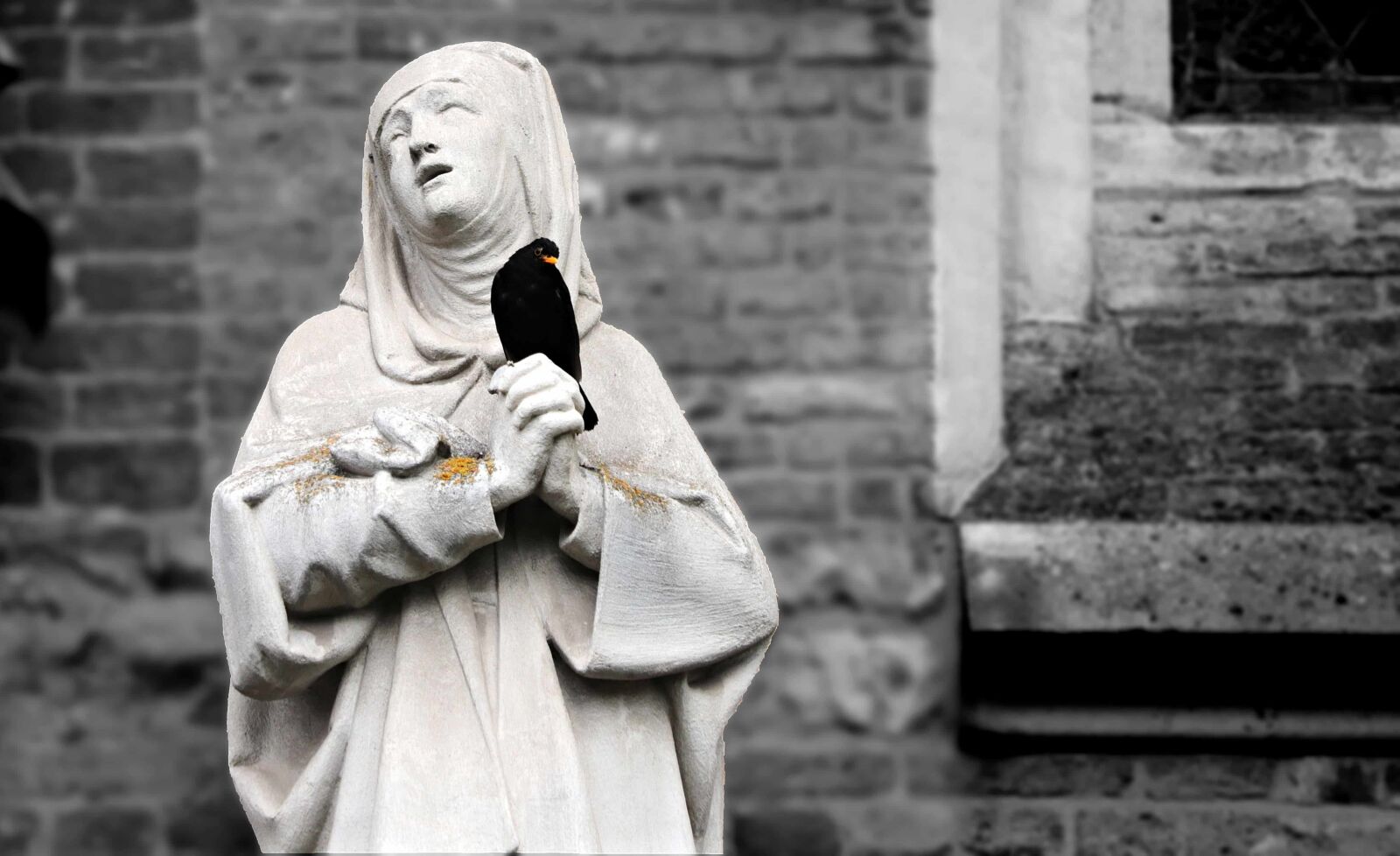 Canon EOS 80D sample photo. Religion, statue, monochrome, daylight photography