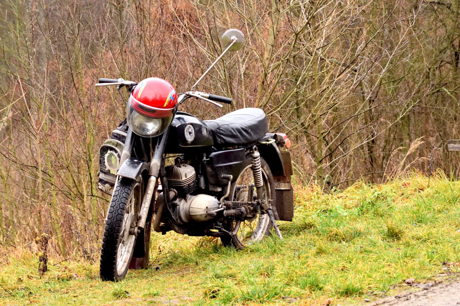 Nikon D3300 sample photo. Motor, the vehicle, forest photography