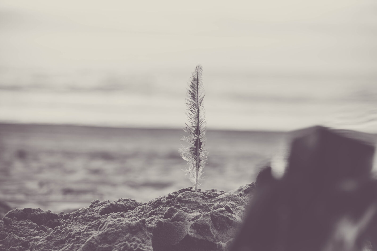 Nikon D5200 sample photo. Beach, black, and, white photography