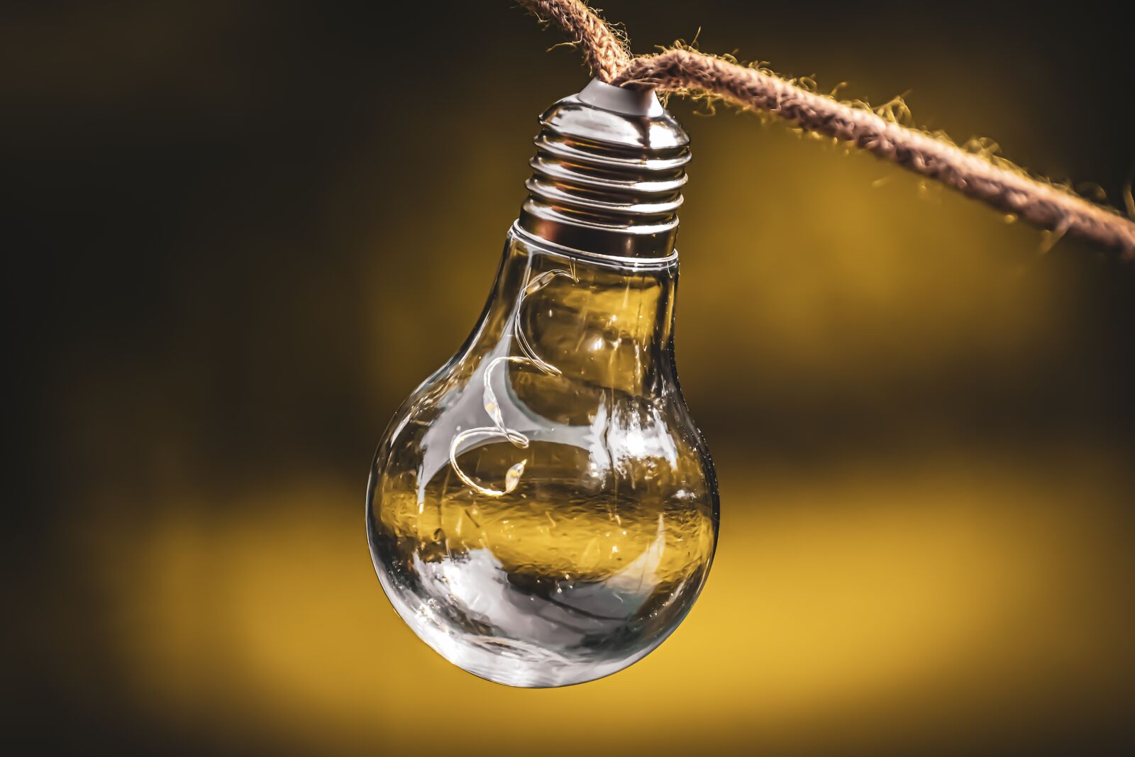 Nikon D7200 sample photo. Light bulb, energy, nature photography