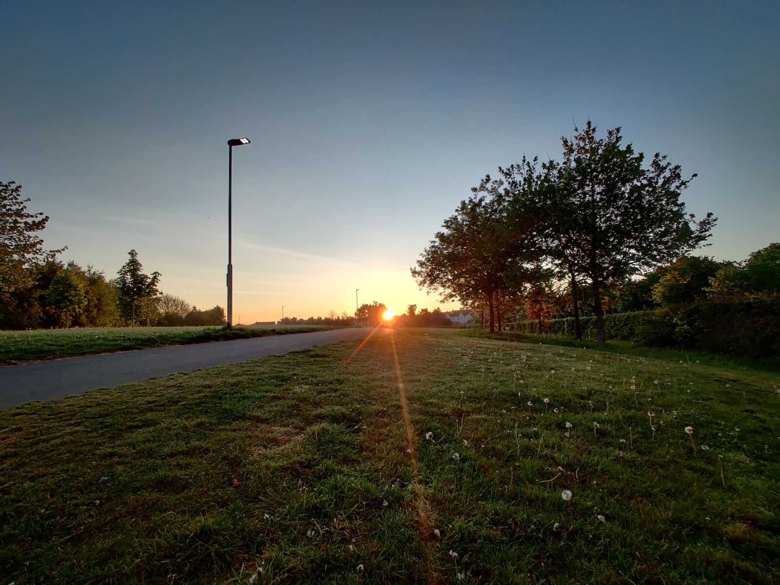 OnePlus GM1913 sample photo. Sunrise, grass, nature photography
