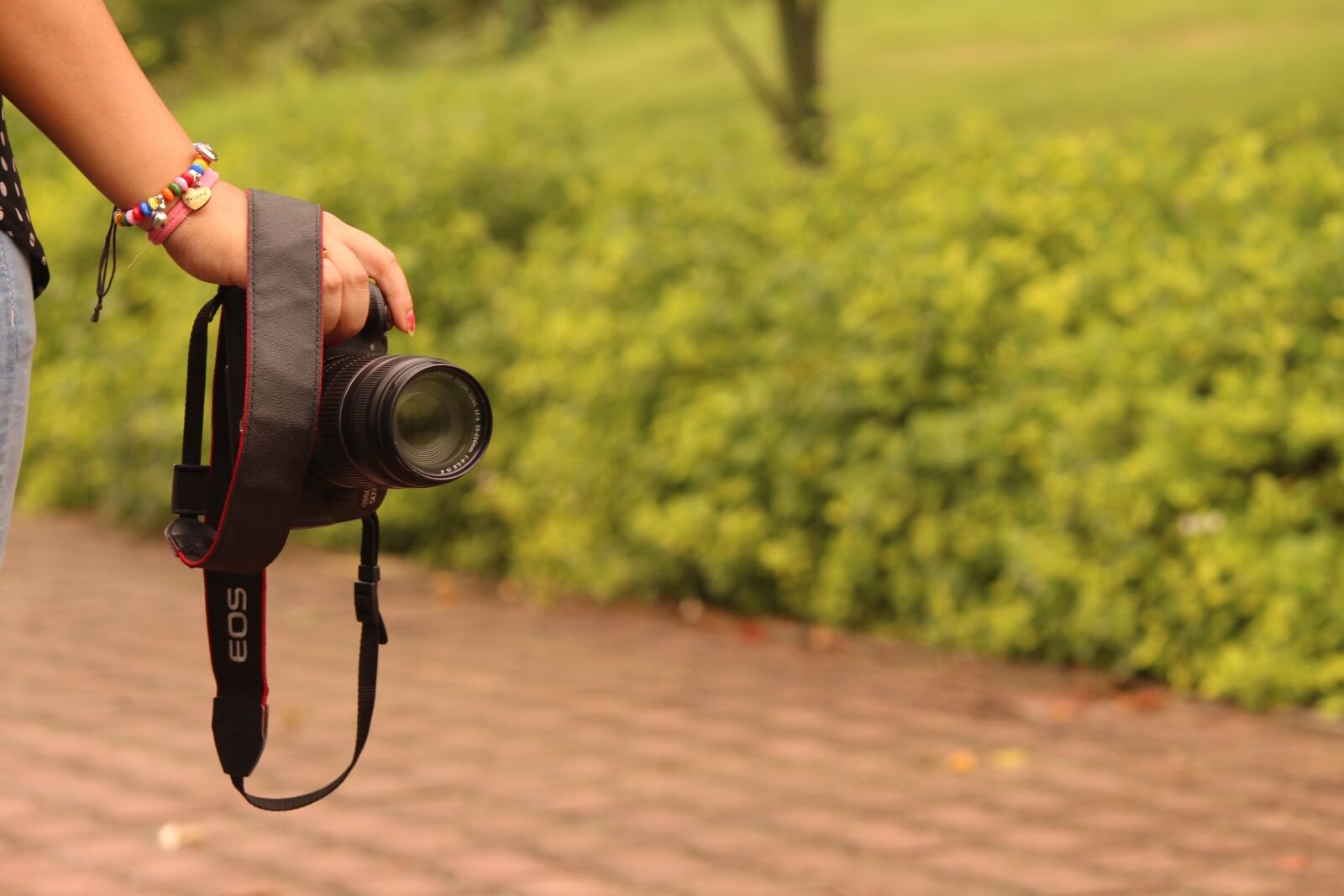 Canon EOS 700D (EOS Rebel T5i / EOS Kiss X7i) sample photo. Camera, canon, photographer photography