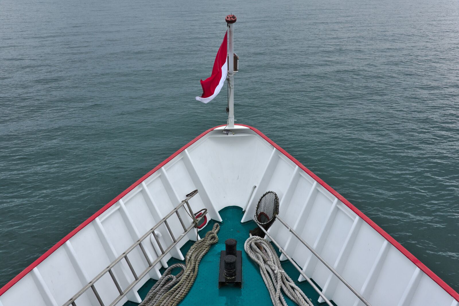 Nikon D750 sample photo. Ship, bug, lake photography