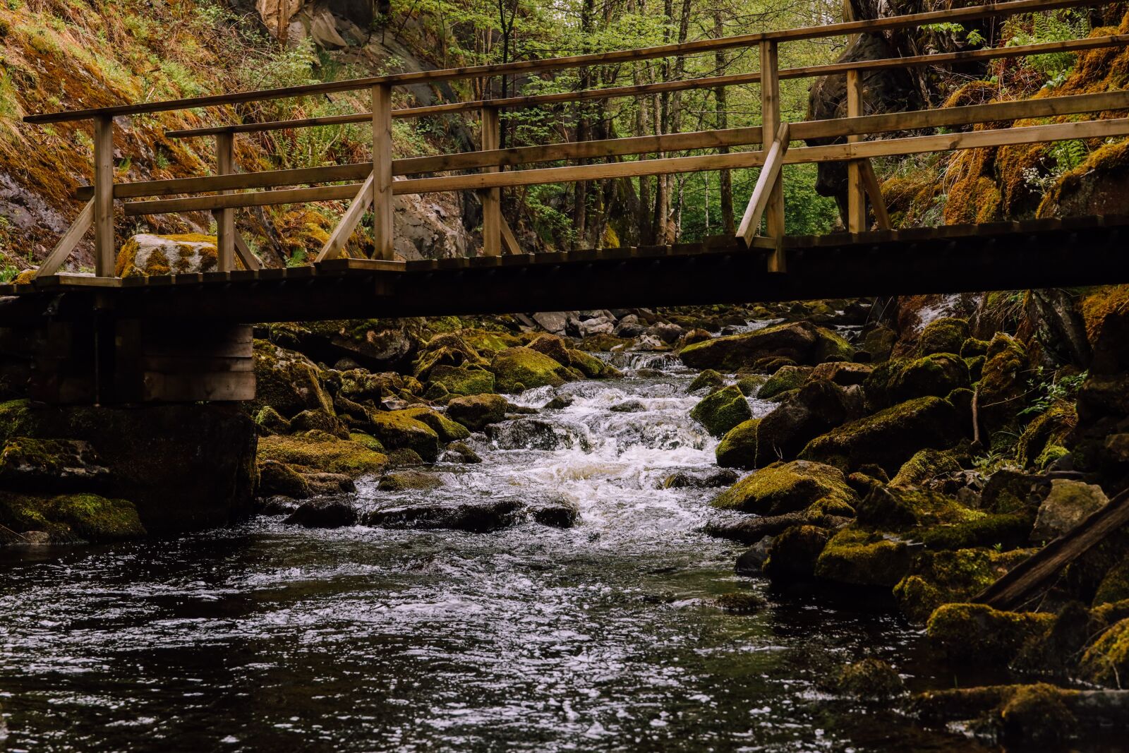 Canon RF 24-240mm F4-6.3 IS USM sample photo. River, water, bridge photography