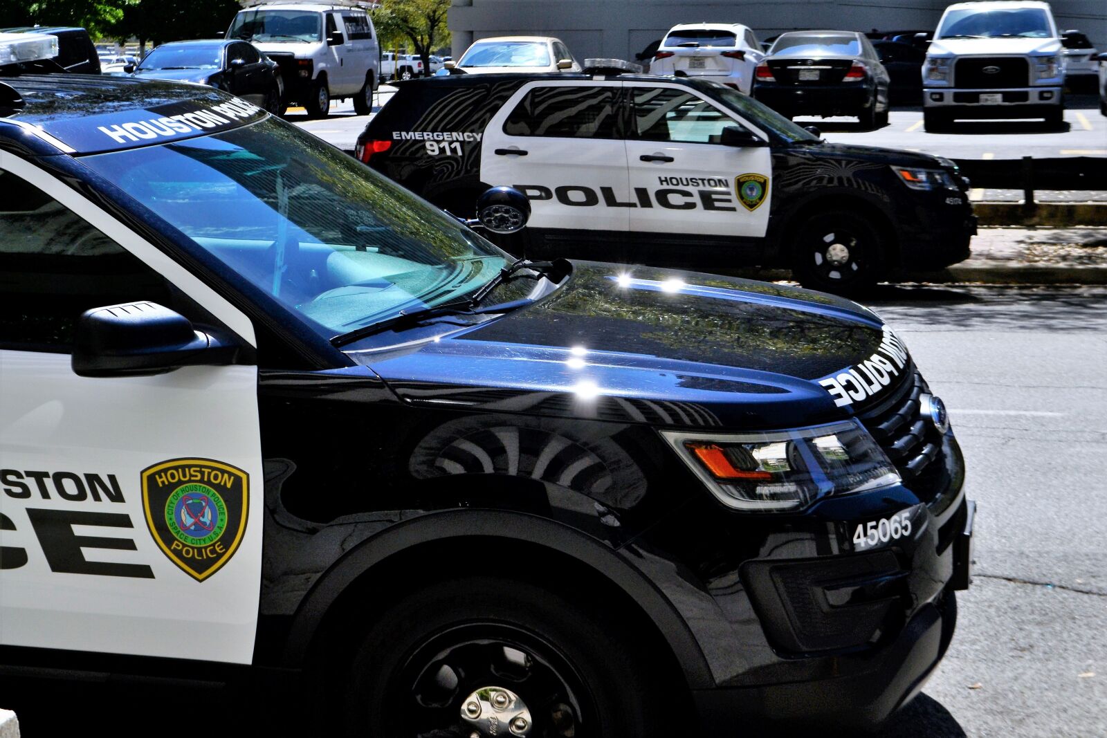 Nikon D3100 sample photo. Police car, squad cars photography