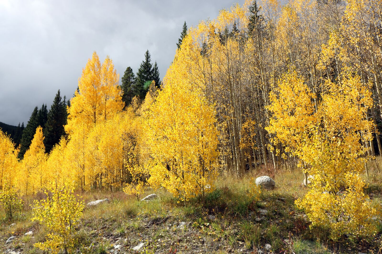 Canon EOS 750D (EOS Rebel T6i / EOS Kiss X8i) sample photo. Mountains, trees, landscape photography