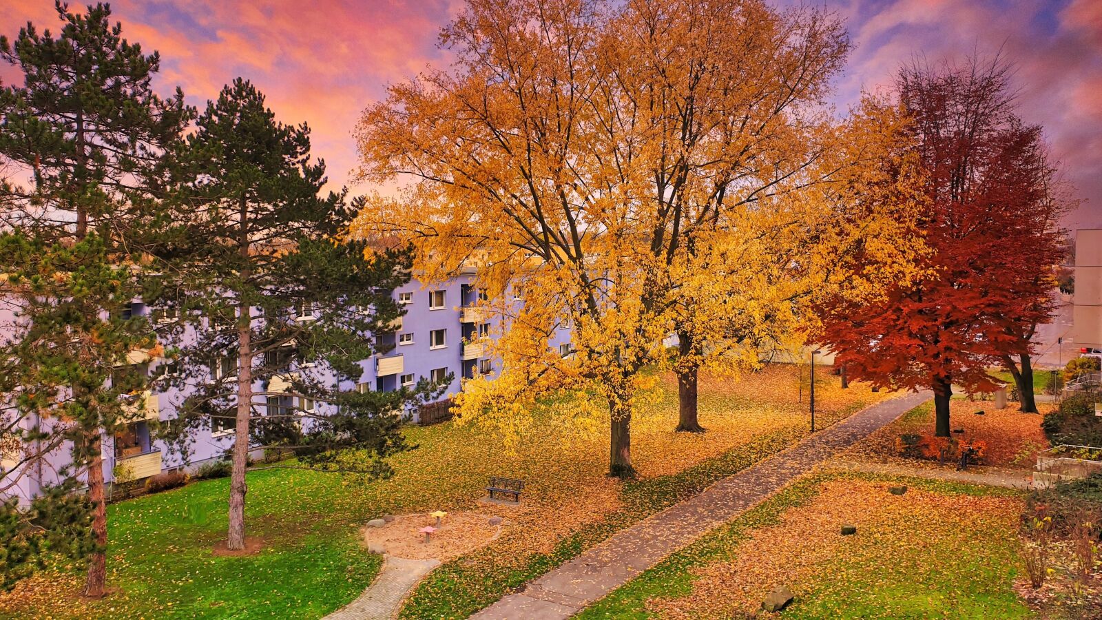 Samsung Galaxy S9 sample photo. Autumn, trees, residential area photography