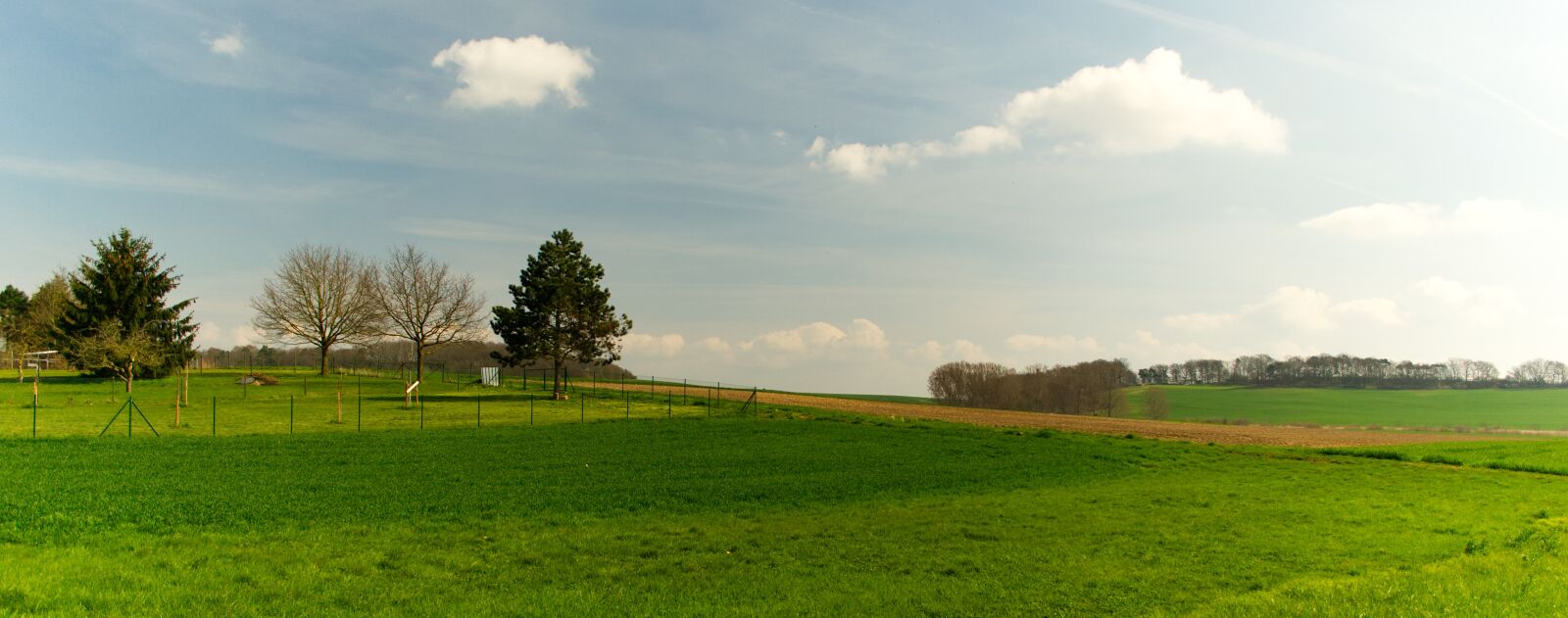 Nikon D3100 sample photo. Landscape, meadow, sky photography