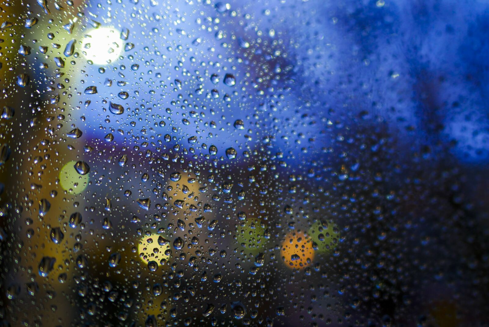 LEICA DG SUMMILUX 15/F1.7 sample photo. Rain, raindrop, night photography