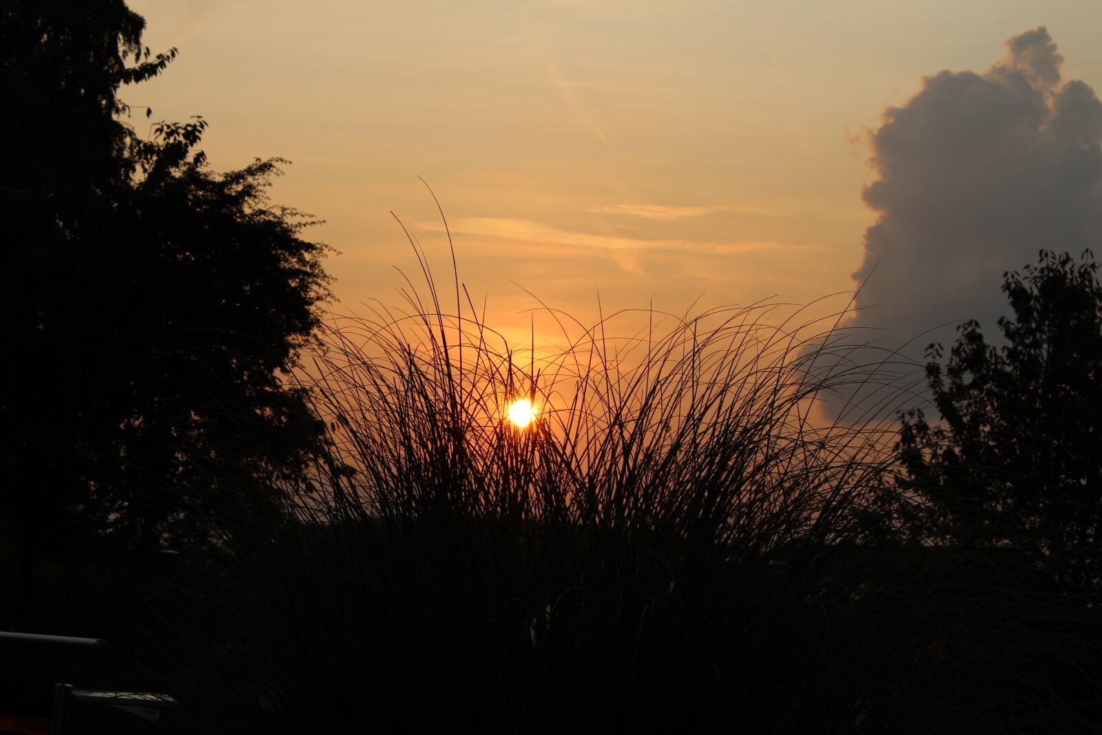 Canon EOS 600D (Rebel EOS T3i / EOS Kiss X5) sample photo. Sunset, twilight, dusk photography