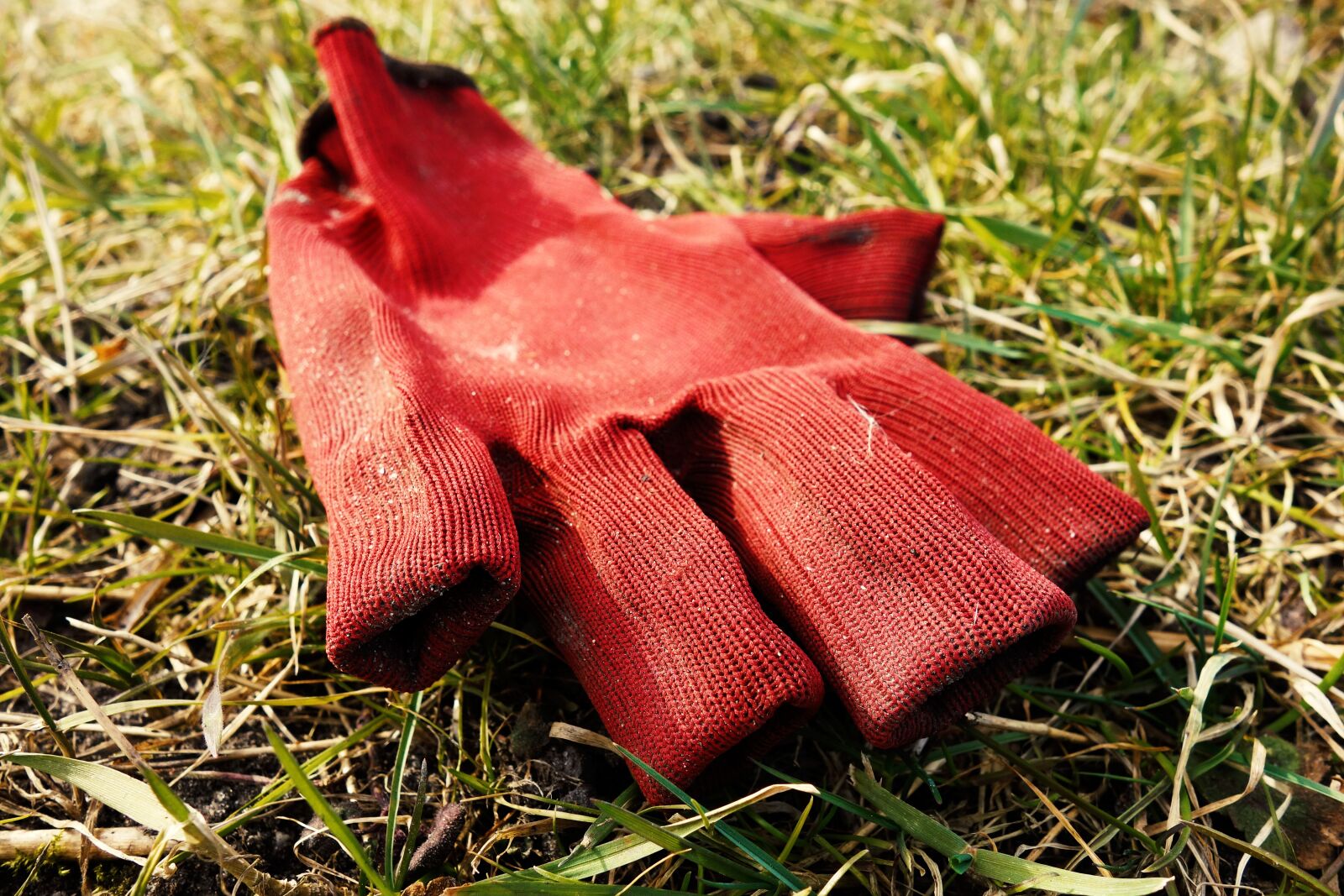 Sony Cyber-shot DSC-RX100 sample photo. Work glove, glove, work photography