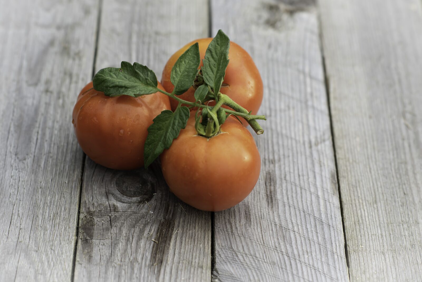 Nikon D810 sample photo. Tomatoes, vegetables, market photography