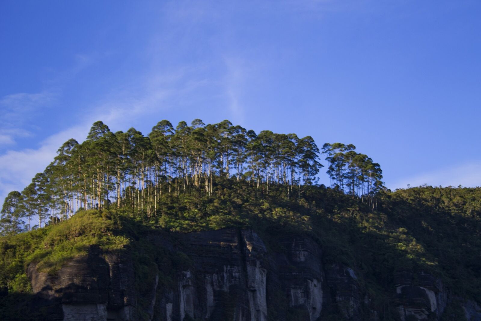 Canon EOS 1100D (EOS Rebel T3 / EOS Kiss X50) sample photo. Trees, nuwaraeliya, sky photography