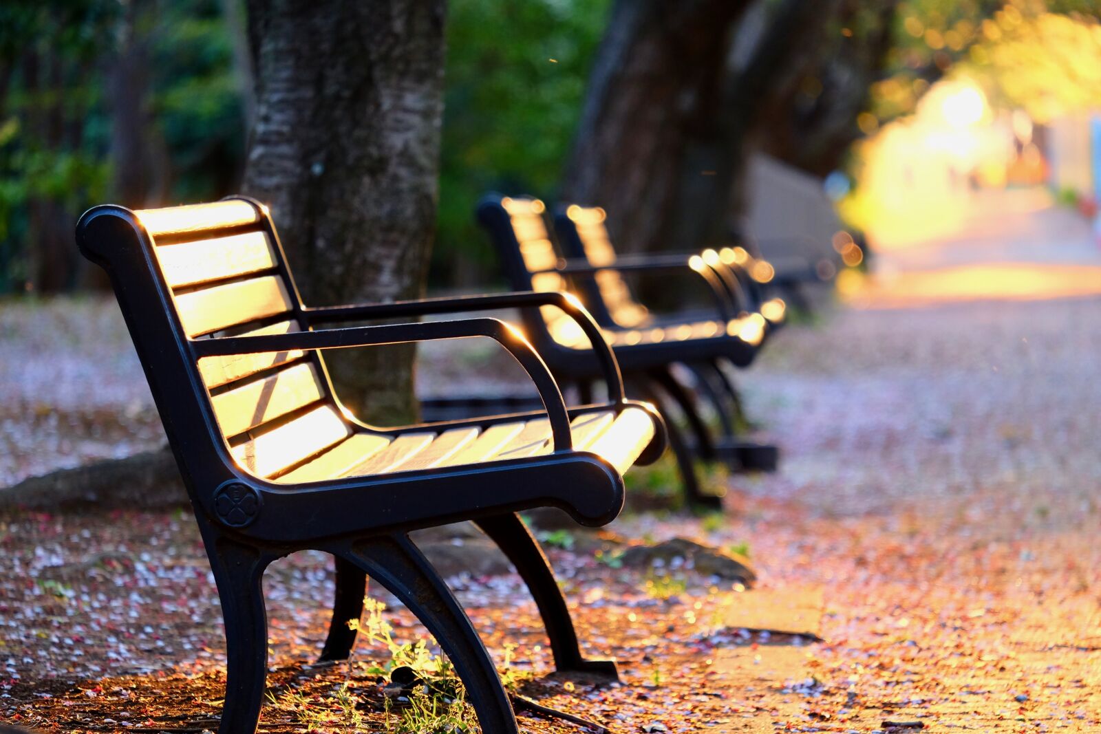 Fujifilm XF 55-200mm F3.5-4.8 R LM OIS sample photo. Park, bench, sunset photography