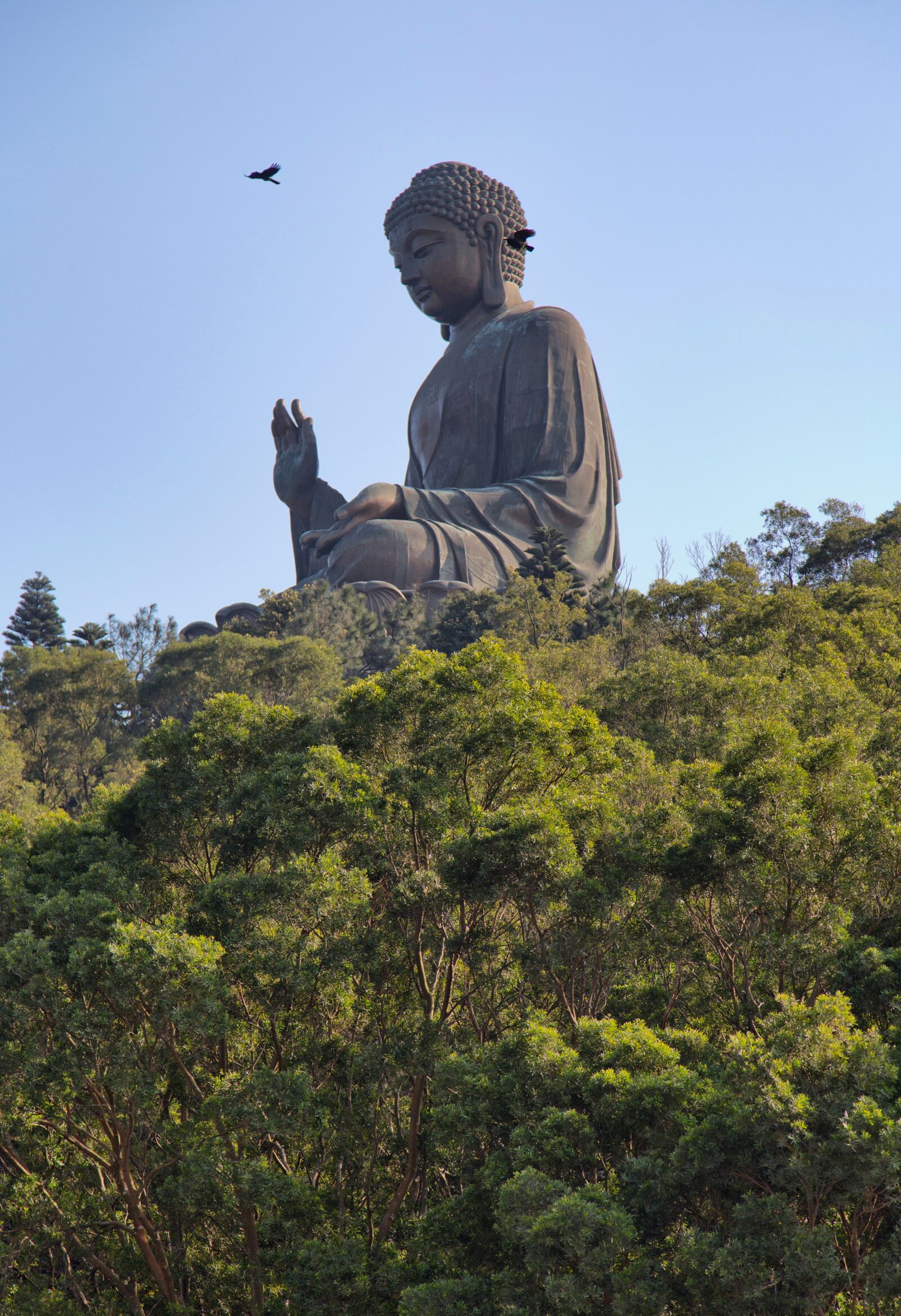 Canon EOS 5D Mark III sample photo. Buddha, hong kong, lantau photography
