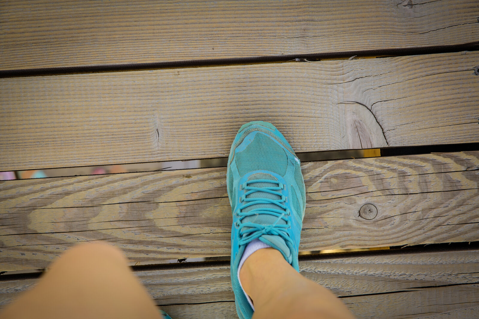 Canon EF 24-70mm F2.8L II USM sample photo
