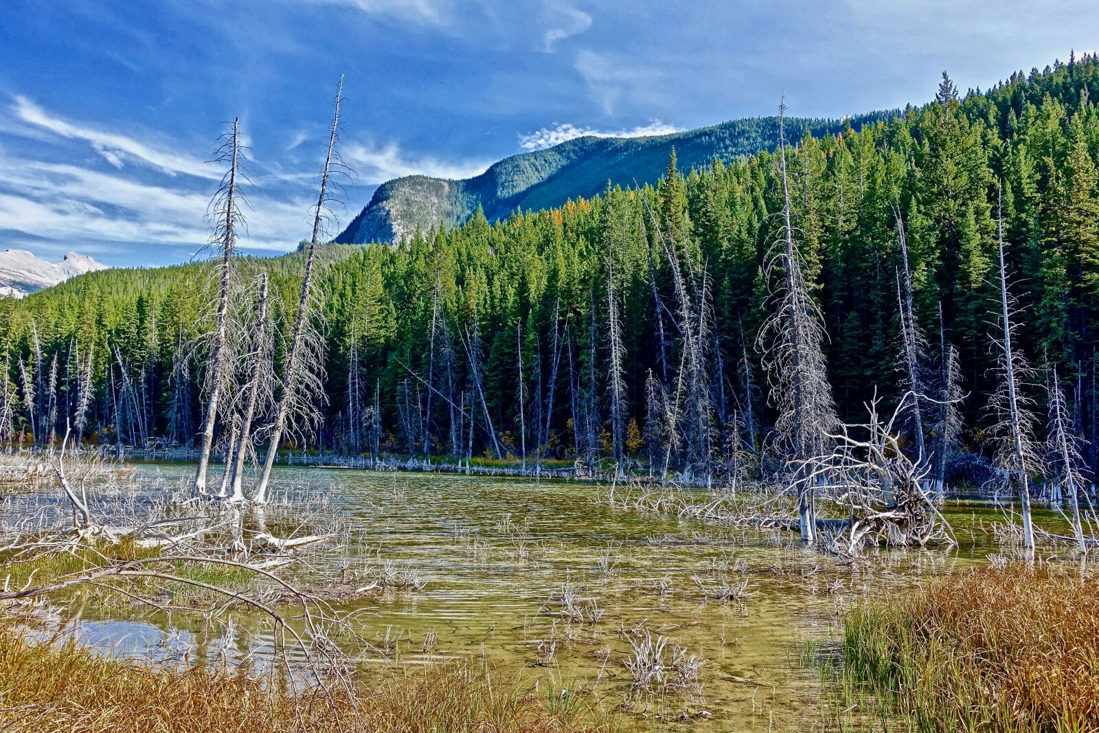 Sony Cyber-shot DSC-RX100 III sample photo. Lake, forest, landscape photography