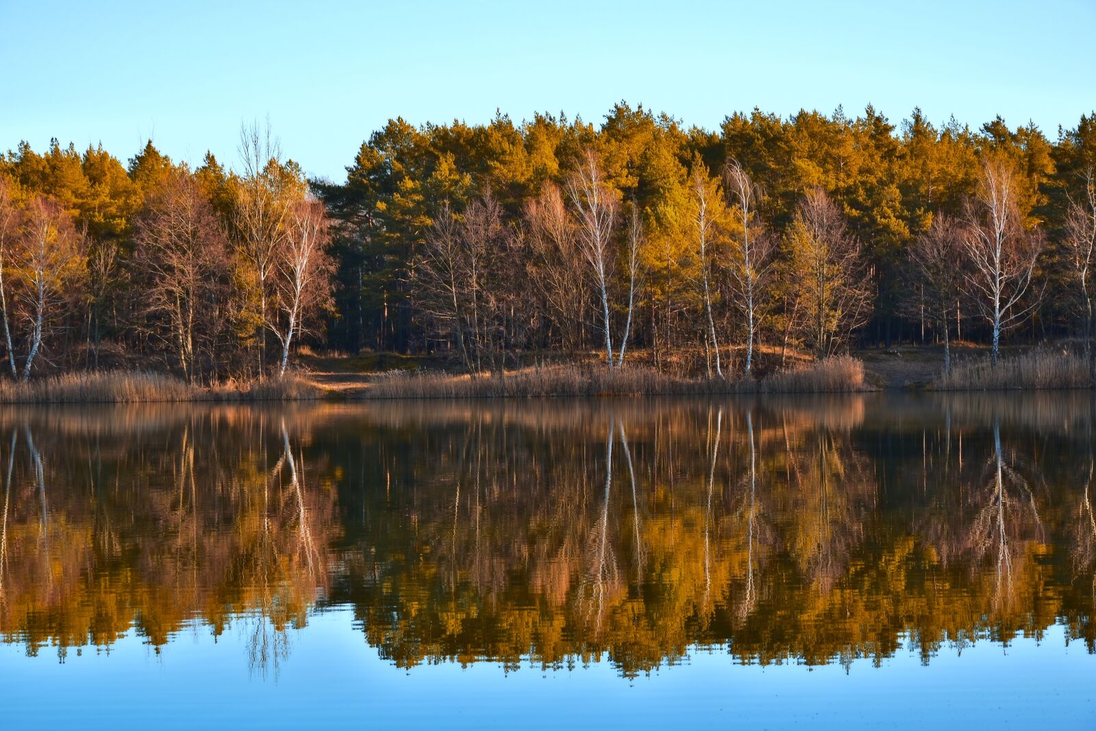 Nikon D5600 sample photo. Bank, lakeside, mirroring photography
