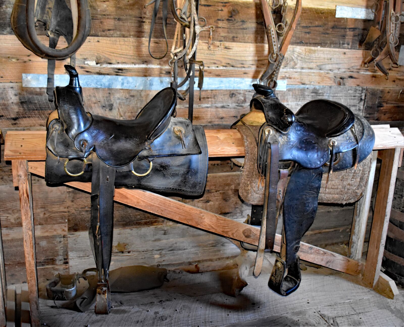 Nikon D5500 sample photo. Saddle, western, cowboy photography