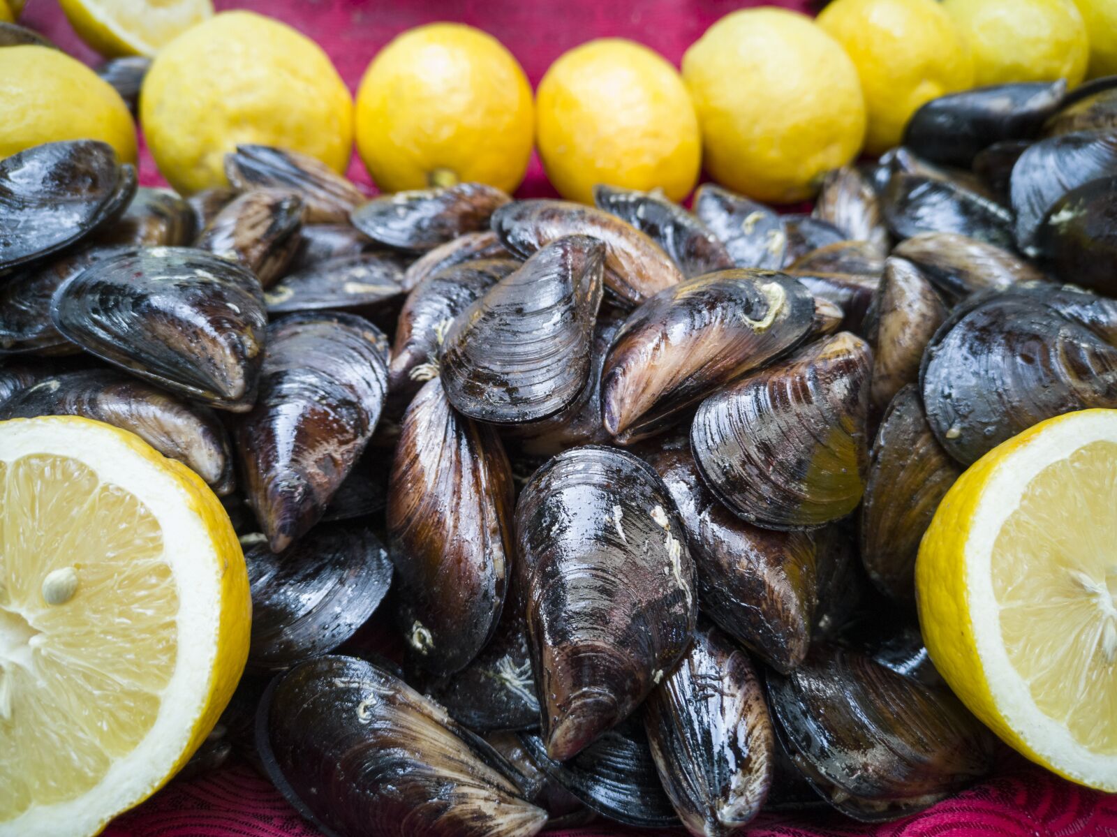 HUAWEI CLT-L09 sample photo. Mussels, stuffed, lemon photography